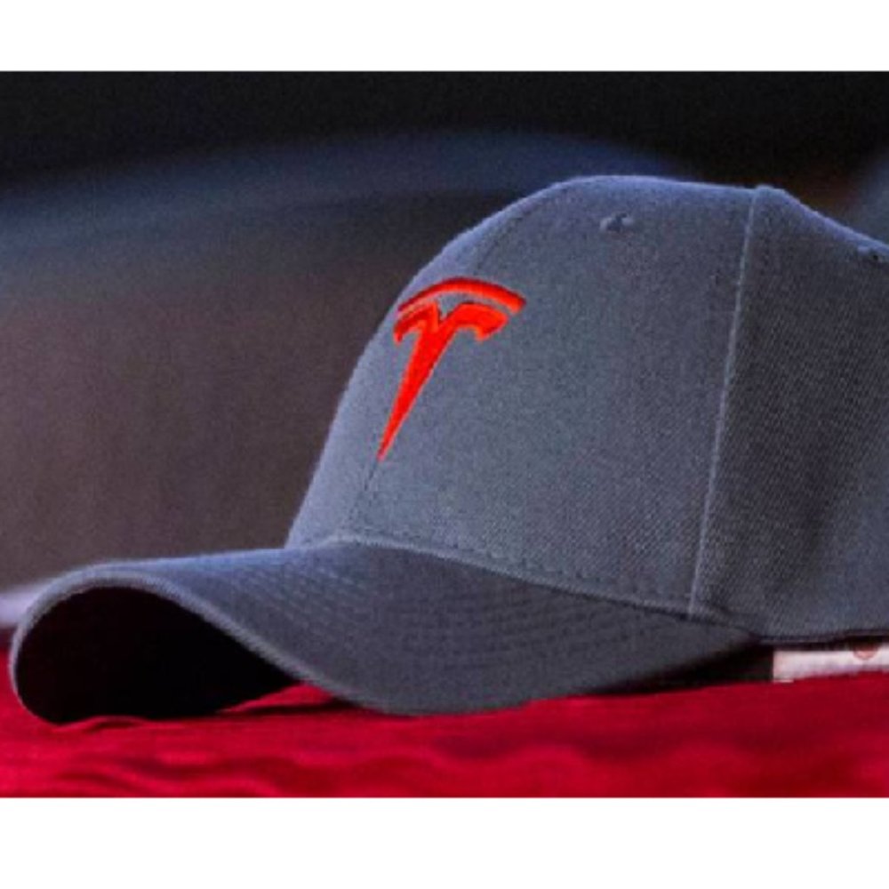Grey Tesla Hat (NWT) Unisex